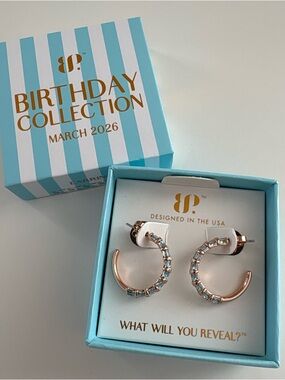 Bomb Party March26 Dream Chaser Earrings ER45228 Aquamarine CZ Rose Gold Plating